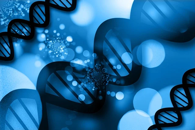 開孔劑Y-1900替代助劑，是實現聚氨酯泡沫高透氣、低收縮性能的核心技術改性方案